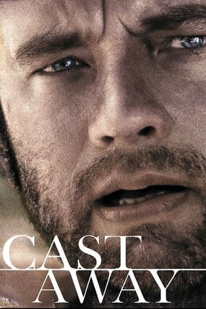 Cast Away 2000 Hindi Dual Audio 720p BluRay [1GB] ESubs