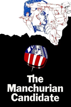 The Manchurian Candidate (2004) Hindi Dual Audio 480p BluRay 430MB